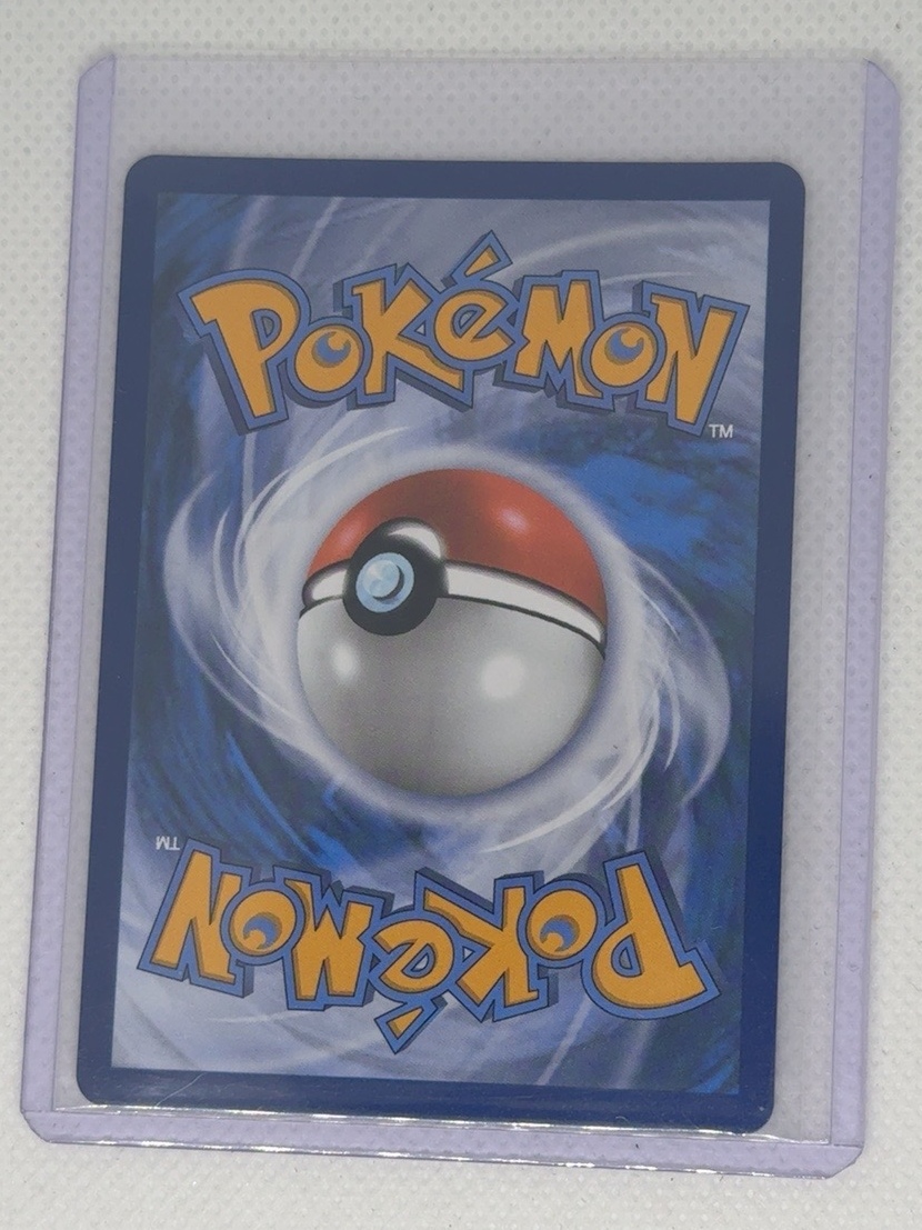 Mega Pyroar ex back