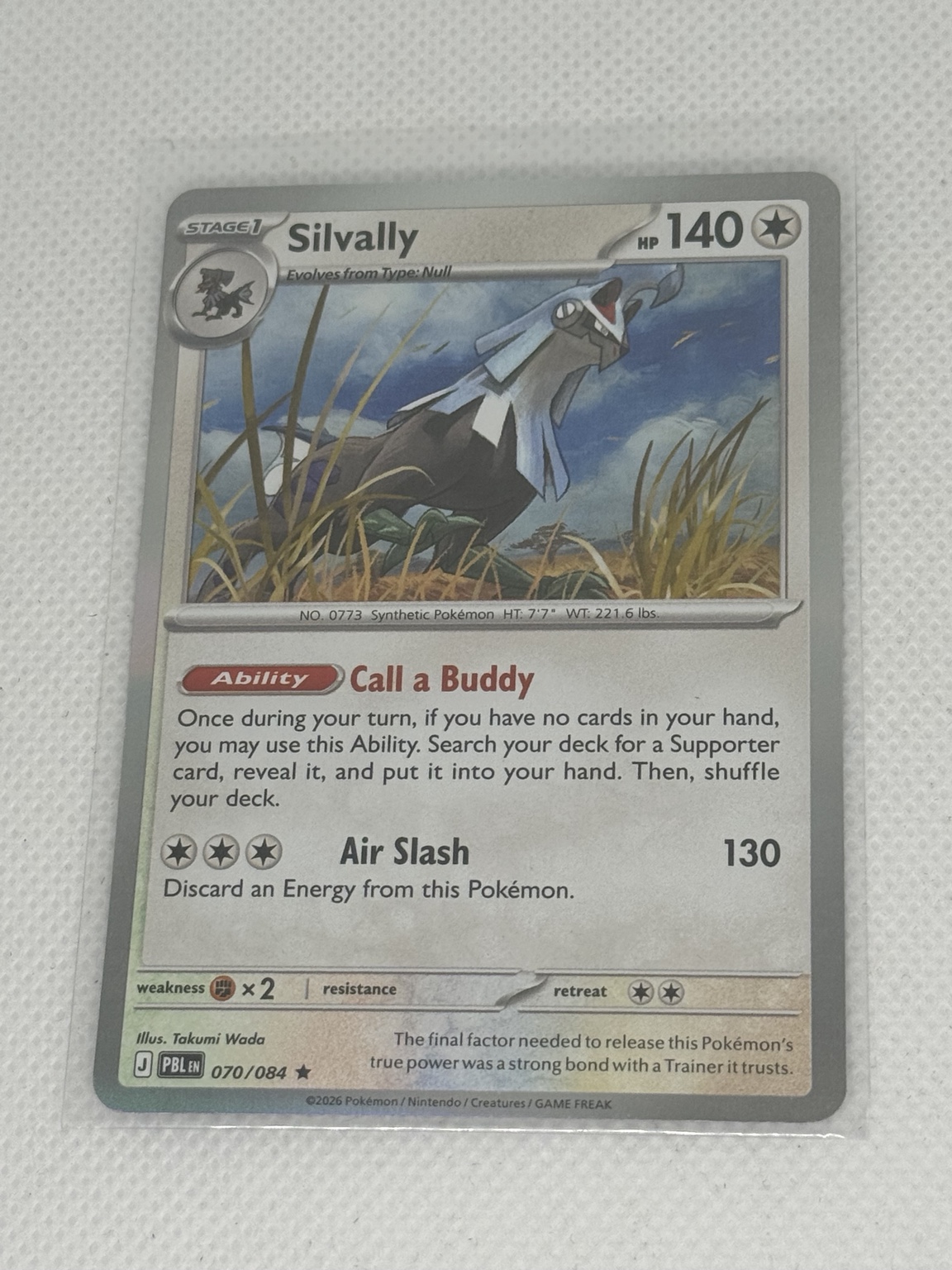 Silvally back