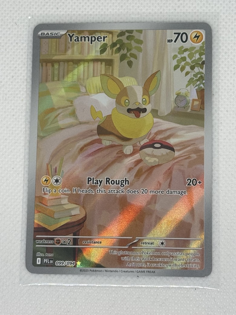 Yamper front